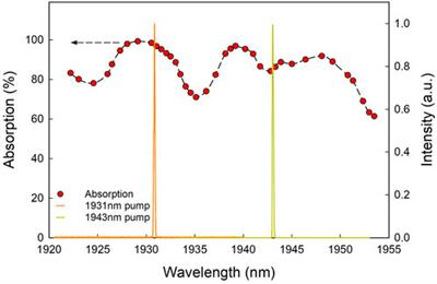 Highly efficient Ho: YAP laser with 202 W of linearly polarized output power at 2118 nm